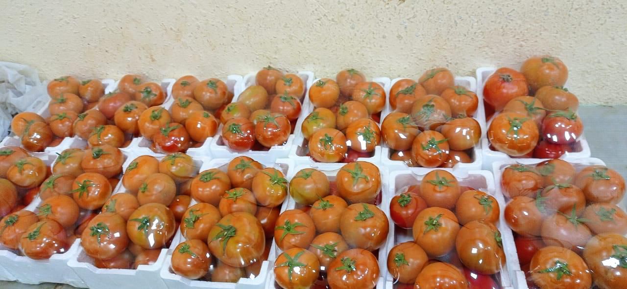 Beef Tomato